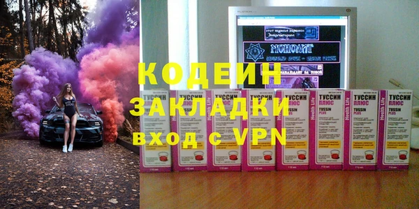 стаф Вязьма