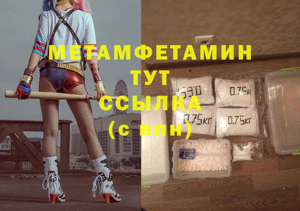 стаф Вязьма