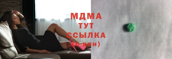 стаф Вязьма