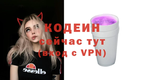 герыч Вяземский