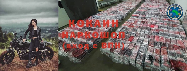 стаф Вязьма