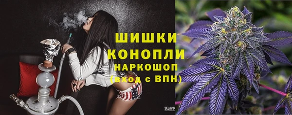 стаф Вязьма