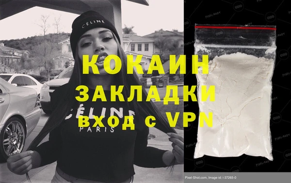 стаф Вязьма