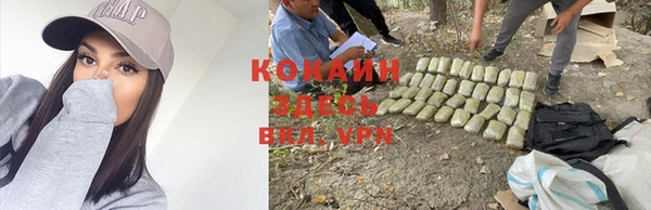прущая мука Вязники